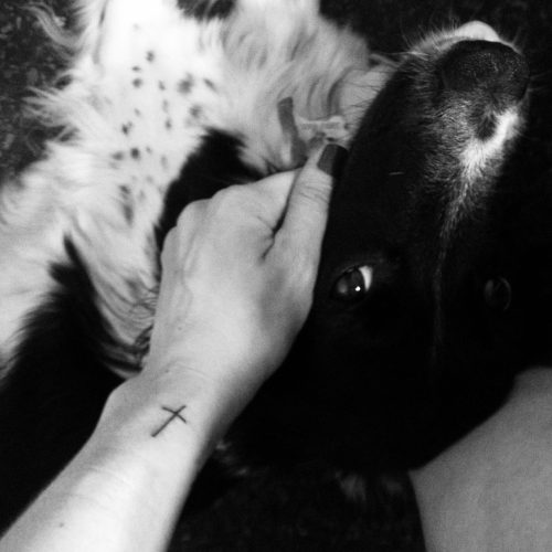 12309557_10153341200897877_3526715298514699083_o