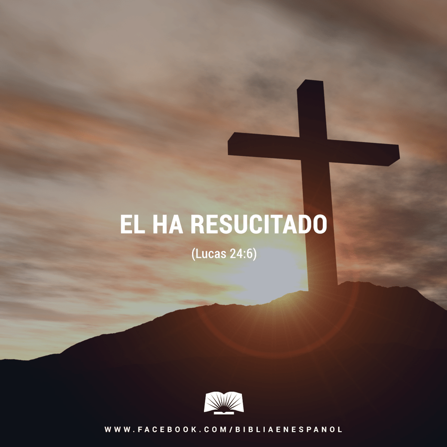 12417519_955697254467913_4700576928804304758_n