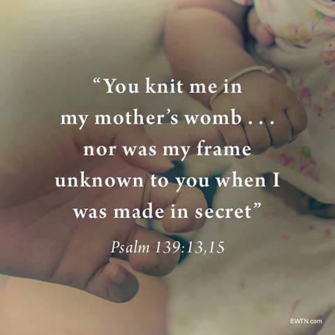 16002992_1944660185768171_4966862369799917976_n