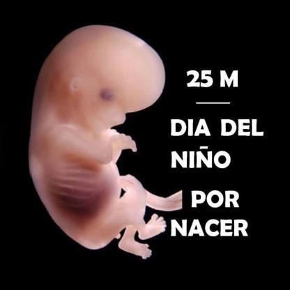 17309070_10154530254837877_2617170091154935390_n