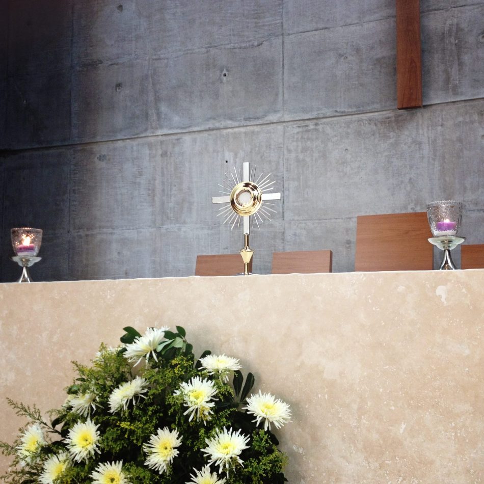 17758324_116950352179434_630240677567954169_o