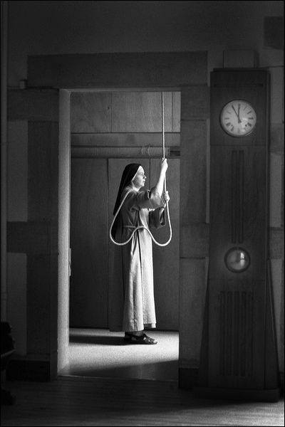 17424855_1521735221171257_4895390952787034722_n