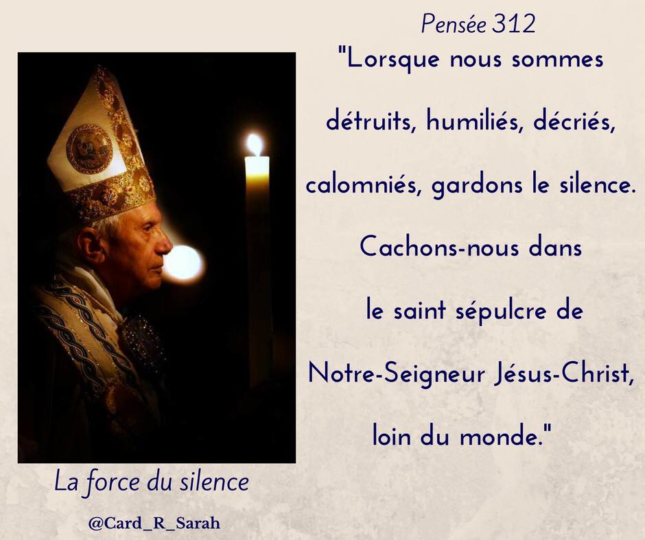 17861574_757767767713226_5066608921416028329_n