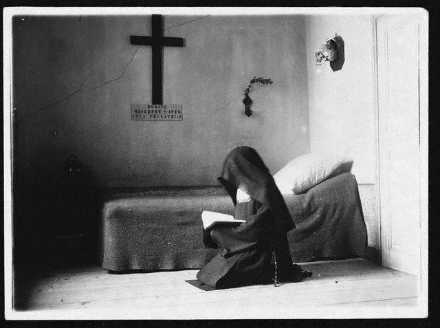 18011144_1541664075845038_6391901573315459288_n