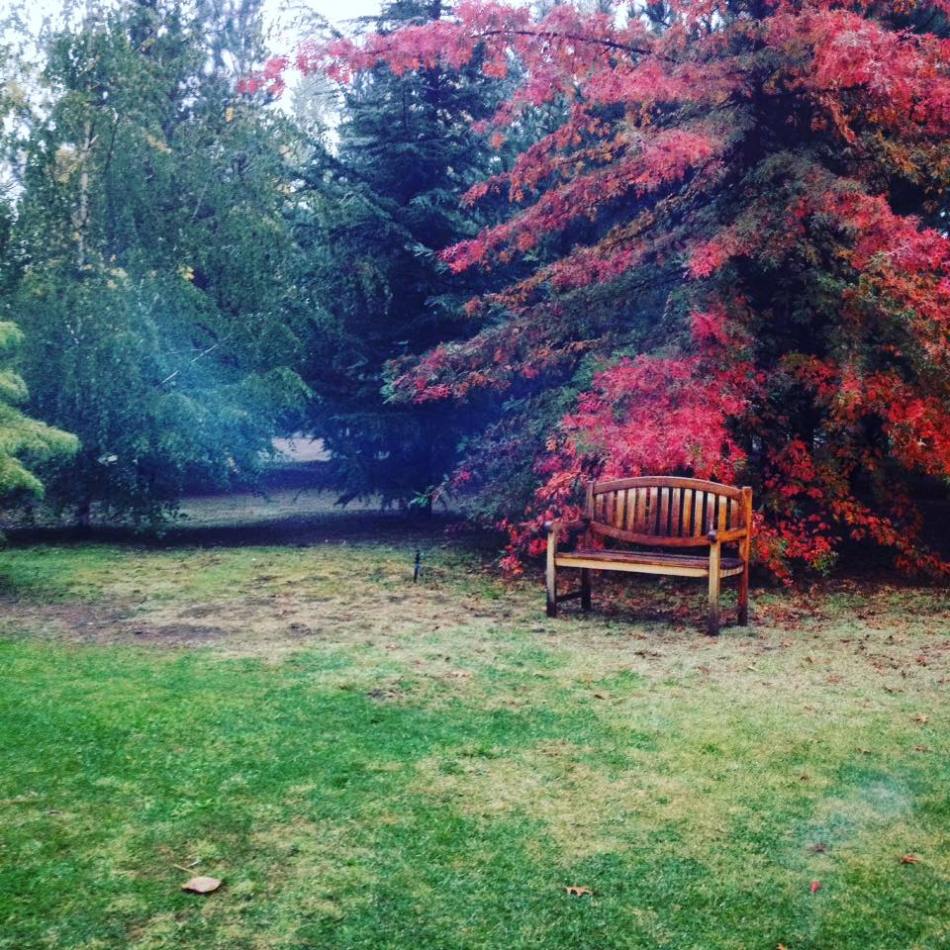 18446852_145005896040546_343308912313854253_n